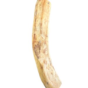 B2.KOHILA-කොහිල