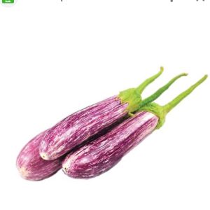 B2.WAMBATU-වම්බටු-100g