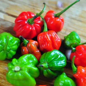 නයි මිරිස්50g