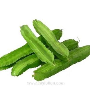 දඹල